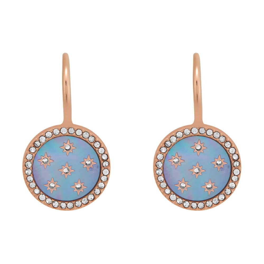 フォッシル FOSSIL Merrit アクセサリー ピアス レディース JF04938791