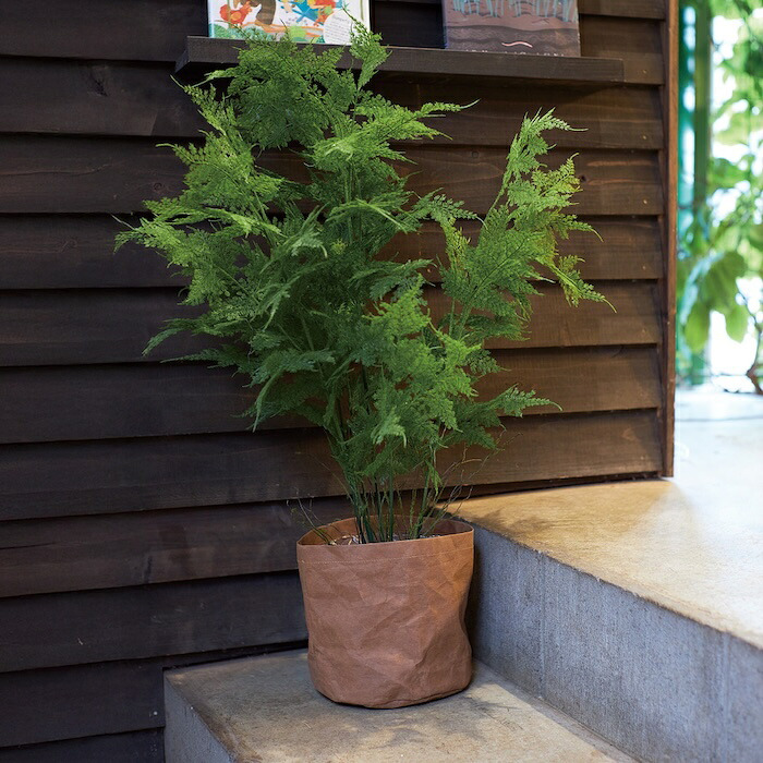 観葉植物 造花 アスパラガス BROWN 全高約90cm 中型 フェイクグリーン 本物そっくり おしゃれ インテリア 人工観葉植物 アーティフィシャルグリーン オフィス 店舗 ホテル 開店祝い 室内 アスパラガスファーン シダ フェイク