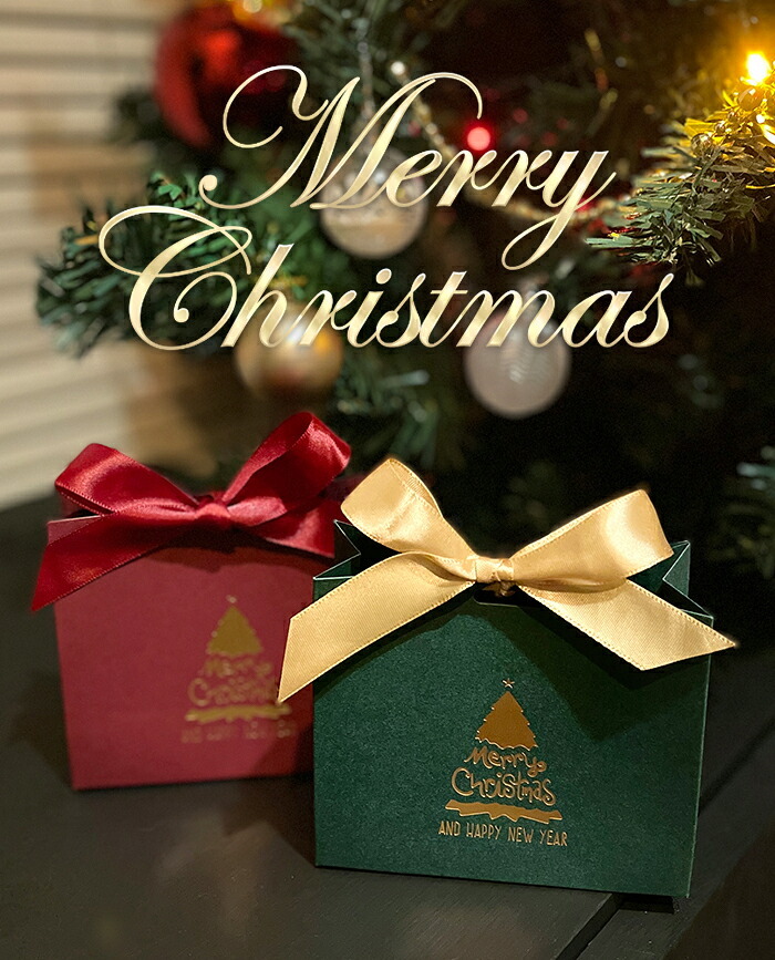 クリスマス ラッピング 紙袋 バッグ リボン 贈り物 サプライズ 記念日 彼女 彼氏 プレゼント おしゃれ