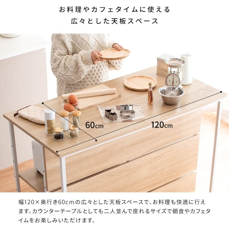 キッチンカウンター ゴミ箱収納 間仕切り レンジラック Salus ごみ箱上 ラック レンジ台 レンジボード 大型レンジ対応 家電収納 ハイテーブル 収納 ごみ箱収納ラック キッチンテーブル カウンターテーブル 新生活