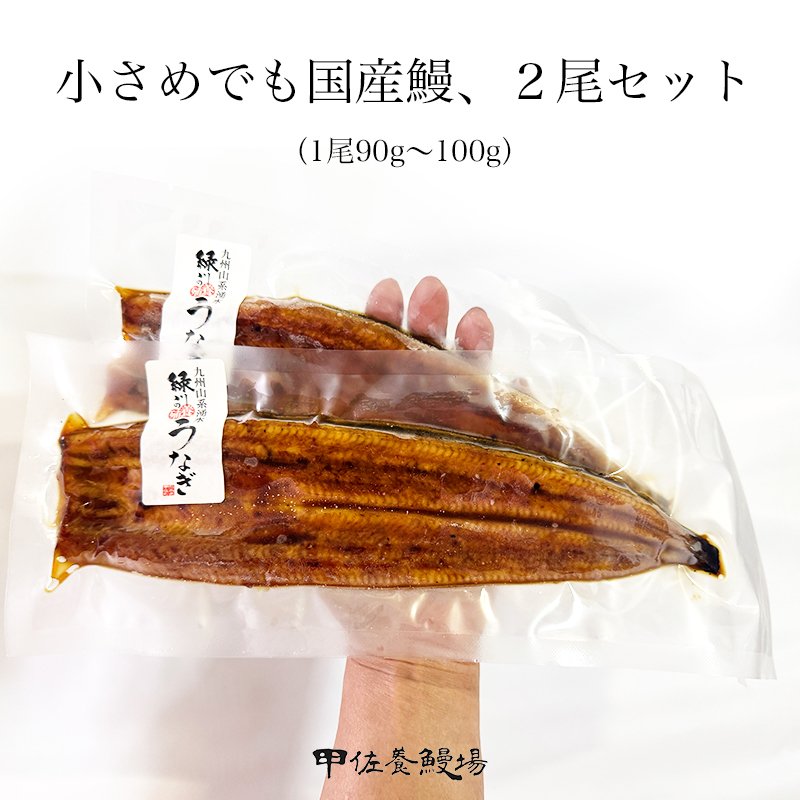 ＜数量限定＞国産うなぎの蒲焼き 2尾（小90g〜100g×2尾） 送料無料 父の日 ギフト お中元 土用丑の日