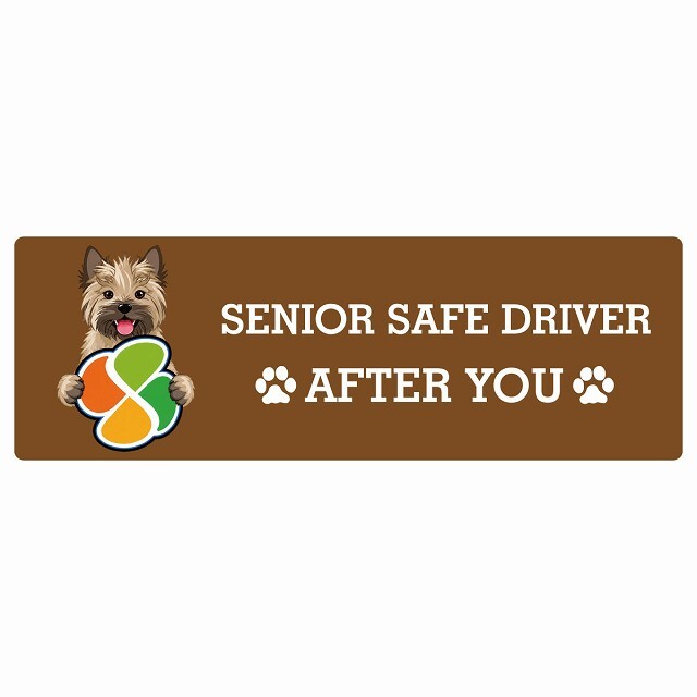 カーサイン 高齢者マーク SENIOR SAFE DRIVER ケアーンテリア ステッカー シール 長方形 20x6.7cm 肉球 日本製 車