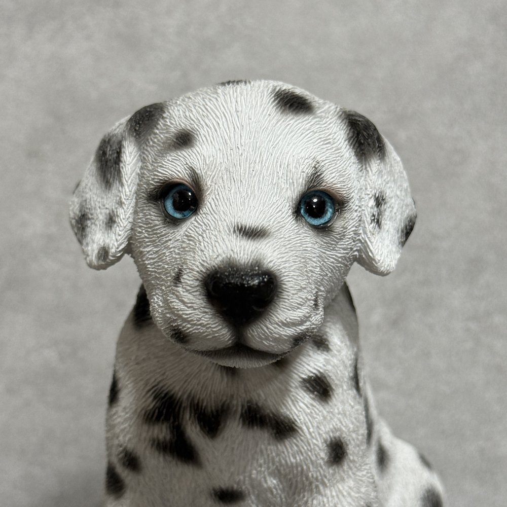 犬の置物 woobia ウービア お座りダルメシアン 子犬 リアル動物オーナメント 高さ12cm 青い瞳 イギリス職人手彩色 玄関 リビング 棚 インテリア 犬好き 誕生日 新築祝い 記念日 お祝い ギフト プレゼント かわいい