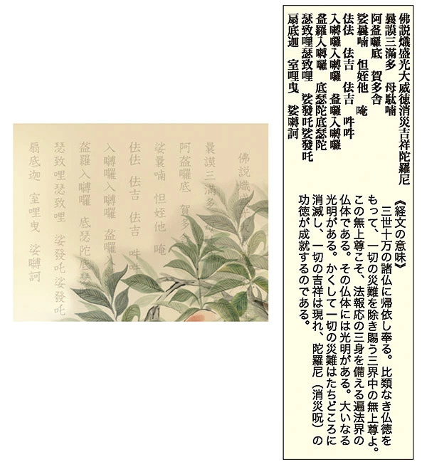 開運消災三桃図 園原游水 尺三幅 掛軸 縁起開運 掛け軸 花 かけじく 59×190cm TK06 桐箱 風鎮 防虫香 年中掛け 日本製 モダン 和室 玄関 床の間 飾り インテリア 新築 お祝い 贈り物 受注後生産商品