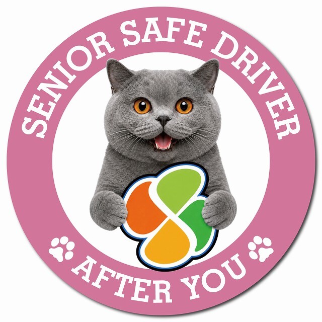 カーサイン 高齢者マーク SENIOR SAFE DRIVER ブリティッシュショートヘア マグネット 強力 直径13cm 肉球 日本製 車 ステッカー