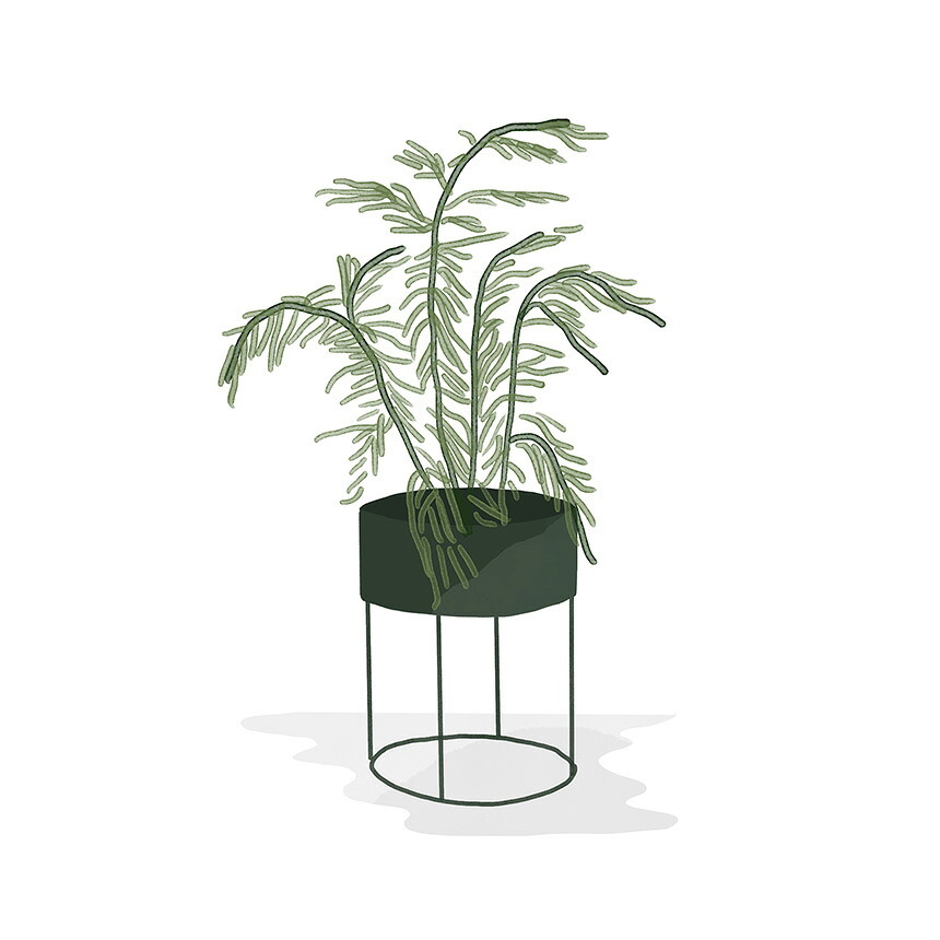 ferm LIVING ファームリビング プラントボックス ラウンド プランター 北欧小物入れ 収納 北欧雑貨 インテリア 雑貨　おしゃれ 収納 キッチン 植木鉢 鉢 スタンド 正規輸入品