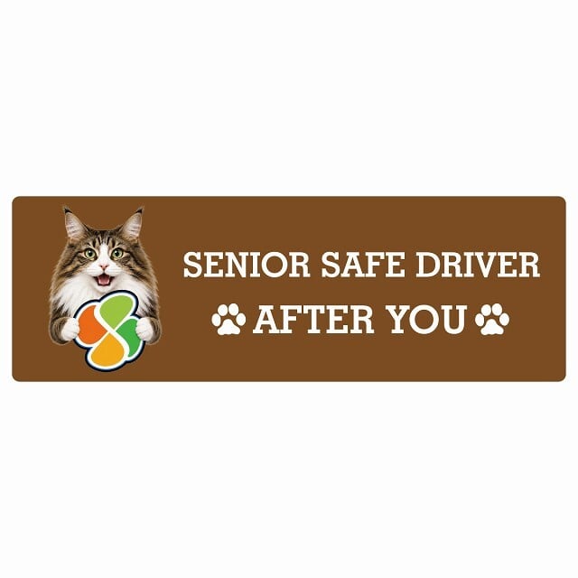 カーサイン 高齢者マーク SENIOR SAFE DRIVER ノルウェージャンフォレストキャット ステッカー シール 長方形 15x5cm 肉球 日本製 車