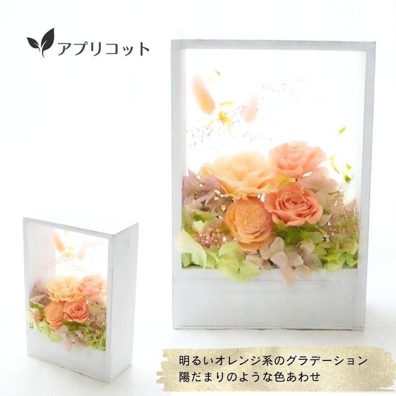 プリザーブドフラワーアレンジメント 【Natural Frame】　 窓枠のようなフレームのプリザーブドフラワーです。やさしい色の組み合わせで自然の中にある色彩の美しさを楽しんで頂けます。プリザーブドフラワー 誕生日 花 プレゼント お祝い グリーン 和 ギフト メッセージ 送料無料  プレゼント おしゃれ リビング インテリア 枯れない花 土日発送 母の日 敬老の日 お中元 お歳暮