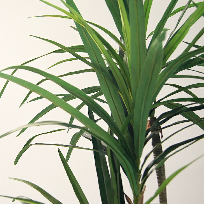 観葉植物 造花 ユッカ BROWN 全高約210cm 大型 フェイクグリーン 高級 本物そっくり リアル おしゃれ スタイリッシュ インテリア 人工観葉植物 アーティフィシャルグリーン モダン オフィス 店舗 ホテル 開店祝い 室内 リビング 玄関 風水 青年の木