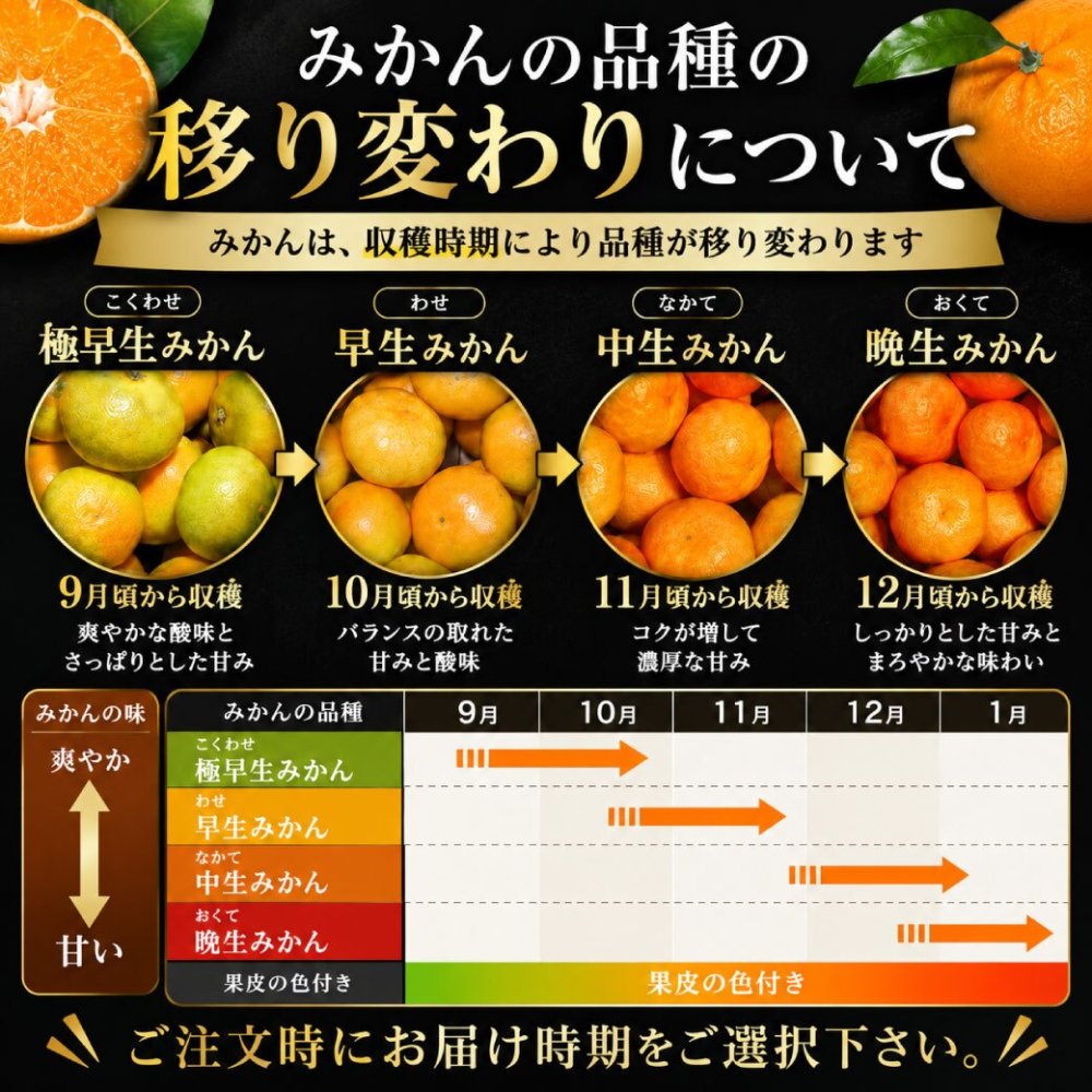 みかん 10kg 贈答用 秀品 特選 送料無料 和歌山 S～２L 混合 伊藤農園 小玉 大玉 中玉 手詰め 有田みかん 温州みかん 約70～100個 果物 柑橘贈答 ギフト 誕生日 結婚祝い 出産祝い 内祝い ギフト