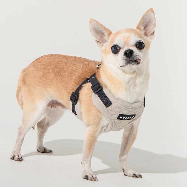 PUPPIA パピア ハーネス アービン 快適ハーネス Cタイプ 秋冬 防寒 プレゼント ギフト 贈り物 誕生日 小型犬 犬用 犬服 トイプードル チワワ S M 散歩用 胴輪 快適設計 柔らかい 着せやすい バックル式 暖かい おしゃれ