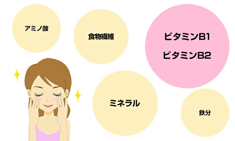 【国産100%】国産 焼き海苔 半切り二十枚×3袋セット 美味しい焼きのり 実店舗で一番人気の焼きノリです 焼きのり 贈り物 ギフト 焼海苔 手巻き寿司 おにぎり おむすび お土産 ギフト プレゼント 敬老の日 プチギフト お茶 2026 内祝い