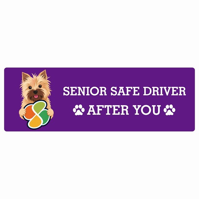 カーサイン 高齢者マーク SENIOR SAFE DRIVER ノーリッチテリア ステッカー シール 長方形 20x6.7cm 肉球 日本製 車