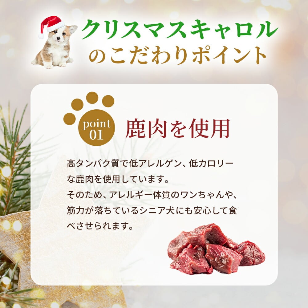 犬用クリスマスケーキ クリスマスキャロル ごはんタイプ