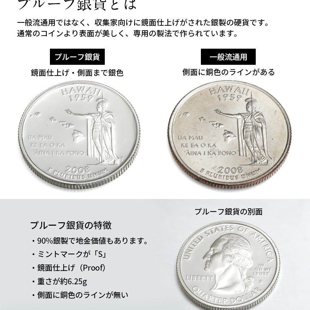 ハワイアンジュエリー シルバー ペンダント トップ 刻印 無料 誕生石入れ可 アメリカ 50州 25セント 記念硬貨 クォーターコイン プルーフ銀貨 ロジウム シルバー925 ネックレス チェーン別売 ペンダントヘッド BY THE SEA SP319 バイザシー プレゼント ハロウィン 【品番：SP306N】