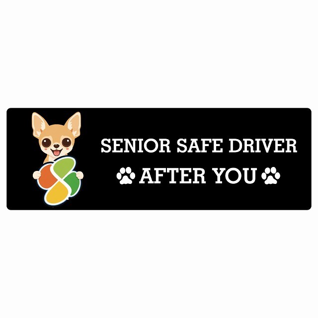 カーサイン 高齢者マーク SENIOR SAFE DRIVER チワワ ステッカー シール 長方形 15x5cm 肉球 日本製 車