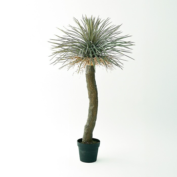 観葉植物 造花 ユッカ ロストラータ BROWN 全高約120cm 大型 フェイクグリーン 本物そっくり おしゃれ インテリア 人工観葉植物 アーティフィシャルグリーン オフィス 店舗 ホテル 開店祝い 室内 ブルー フェイク