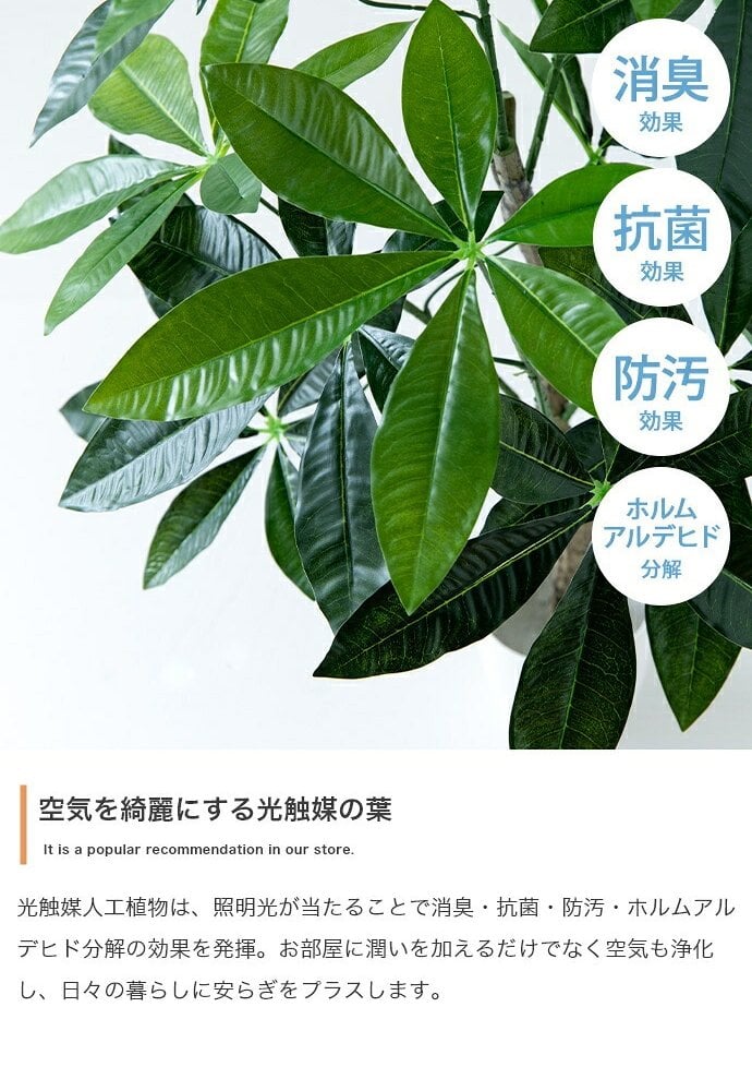 照明 ライト パキラ 観葉植物 人工 フェイクグリーン 室内 リビング オフィス 一人暮らし 緑 インテリア 光触媒 空気清浄 消臭 抗菌 防汚 ホルムアルデヒド分解 おしゃれ 高さ150cm 造花 植木 鉢植え 新築祝い 開店