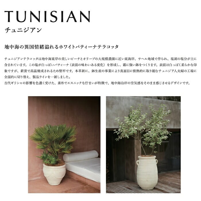 植木鉢 おしゃれ 大型 テラコッタ 白 ホワイト 素焼き 地中海 アンティーク調 KONTON コントン チュニジアン ガーランド TN-104X XL L M 約16号 約14号 12号 底穴あり 屋外 テラス 庭 玄関 オリーブ ヤシ 観葉植物 シンボルツリー 果樹 エスニック 大型プランター