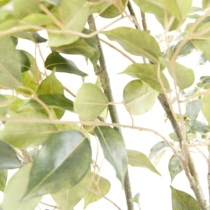 観葉植物 造花 ベンジャミン BROWN 全高約210cm 大型 フェイクグリーン 高級 本物そっくり リアル おしゃれ インテリア 人工観葉植物 アーティフィシャルグリーン 自然樹形 オフィス 店舗 ホテル 開店祝い 室内 リビング 玄関 風水 ベンジャミナ