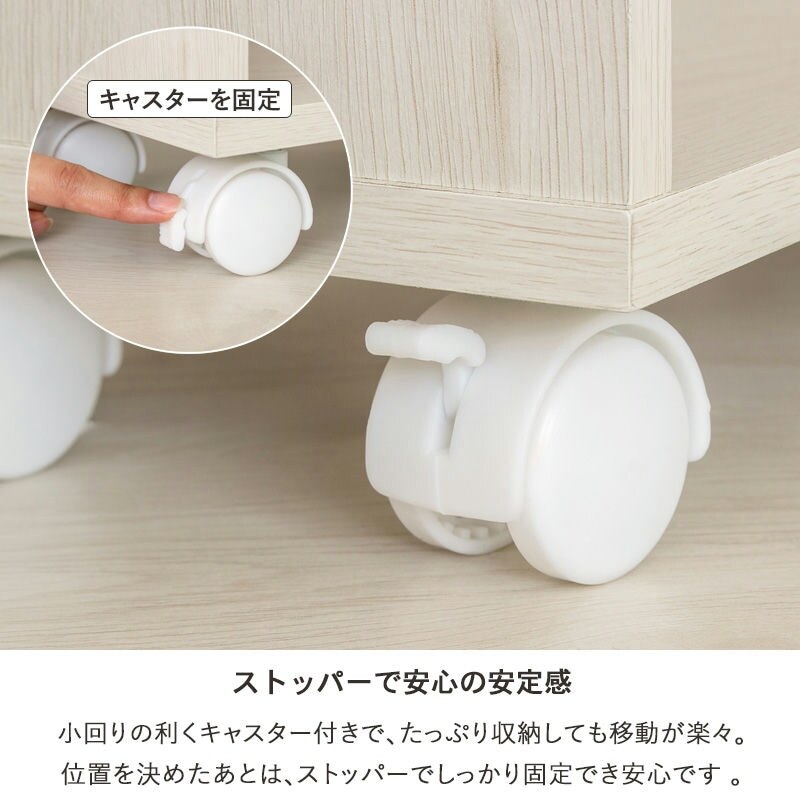 ラック 押入れ収納 奥行45cm 選べる幅3サイズ (19/25/38cm) IW-24 クローゼット収納 リビング収納 すき間収納 サニタリー収納 新生活