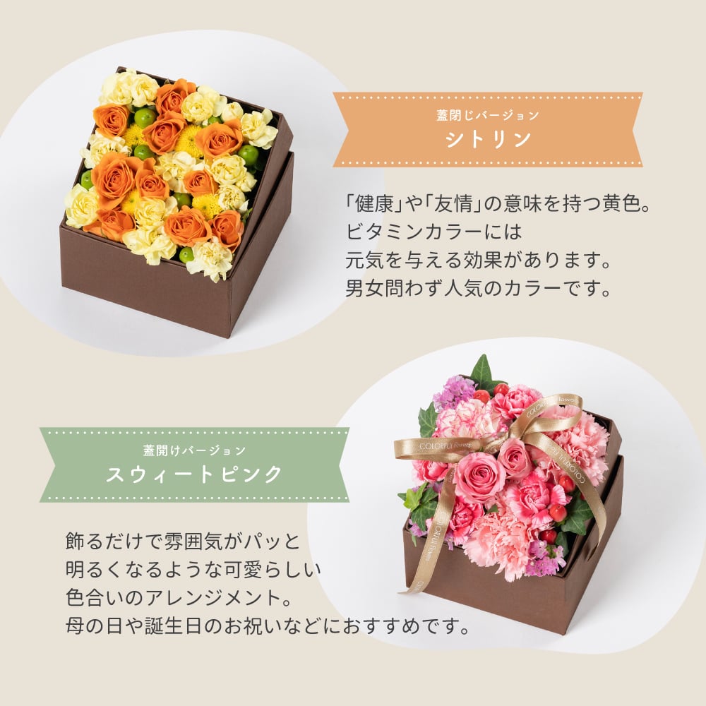 <季節のお花おまかせ>フラワーギフトボックスアレンジメント　リボン付き　 そのまま飾れる 生花 花市場から直送  父の日 お祝い お誕生日 結婚祝い フラワーボックス バラ カーネーション かわいい おしゃれ 女性 ギフト プレゼント 即日発送 手提げ付き  メッセージカード無料