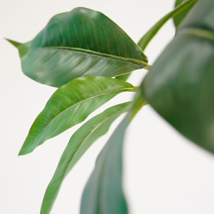 観葉植物 造花 ツピタンサス BROWN 全高約210cm 大型 3本立ち フェイクグリーン 高級 本物そっくり リアル おしゃれ インテリア 人工観葉植物 アーティフィシャルグリーン オフィス 店舗 ホテル 開店祝い 室内 リビング 玄関 風水 ツピダンサス