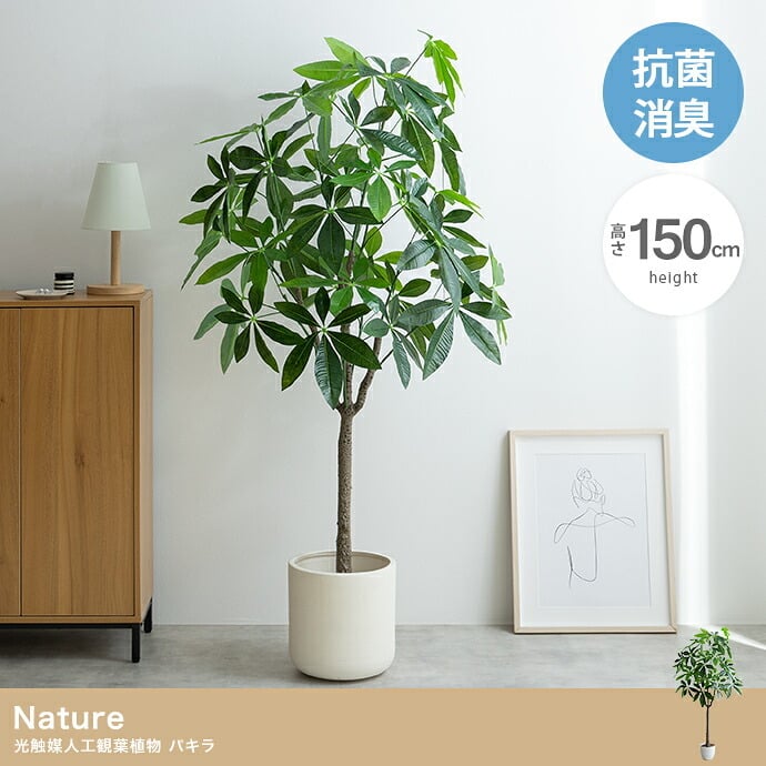 照明 ライト パキラ 観葉植物 人工 フェイクグリーン 室内 リビング オフィス 一人暮らし 緑 インテリア 光触媒 空気清浄 消臭 抗菌 防汚 ホルムアルデヒド分解 おしゃれ 高さ150cm 造花 植木 鉢植え 新築祝い 開店