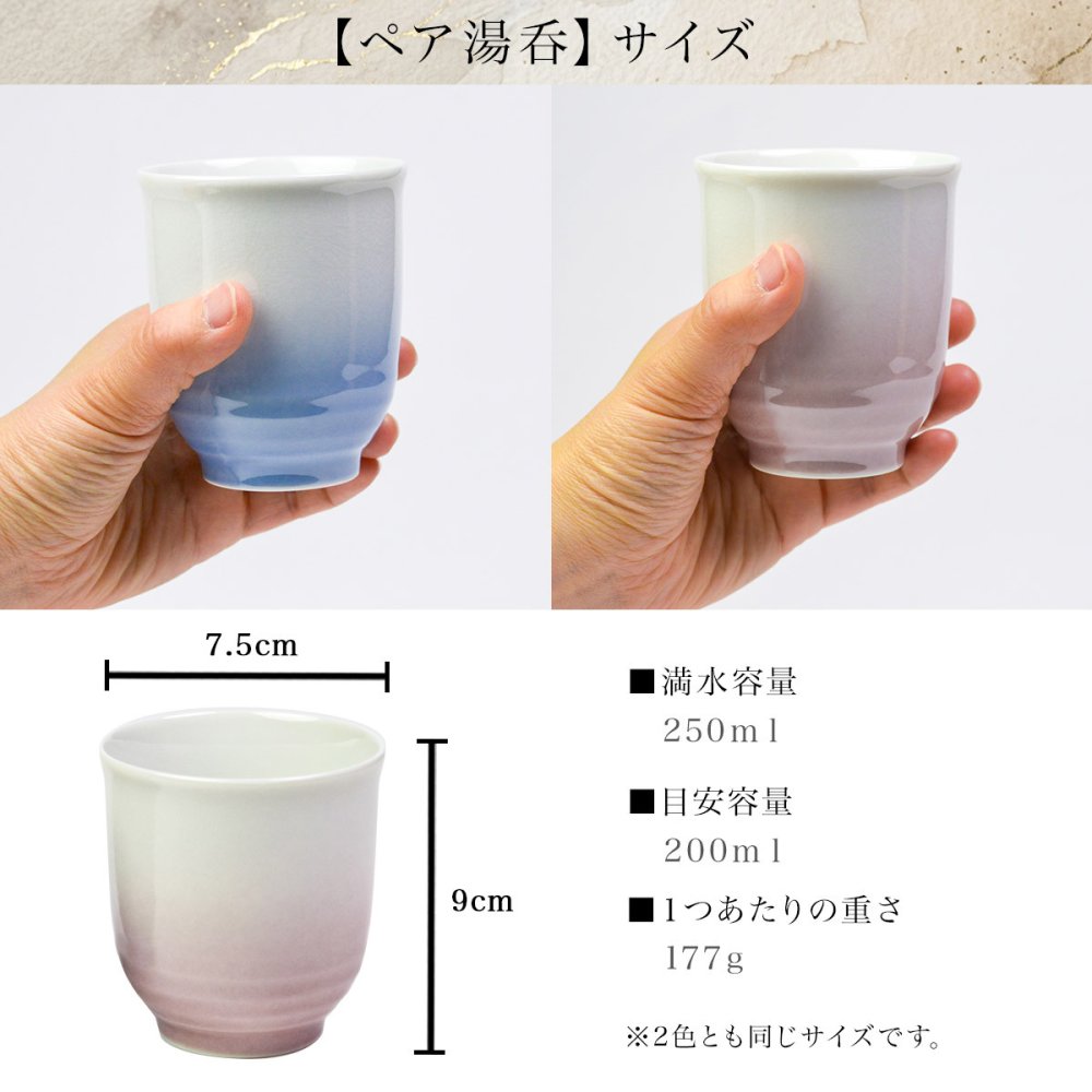 南部鉄器　鉄瓶兼用急須3型 九谷焼　ペア湯呑 セット ギフトボックス入り ( 岩鋳 即日発送 湯のみ 急須 茶器セット プレゼント 日本茶 新築祝い 工芸品 南部鉄器 結婚 出産 内祝い 引き出物 金婚式 誕生日プレゼント 還暦祝い 古希 喜寿 米寿 退職 定年 プレゼント ) 