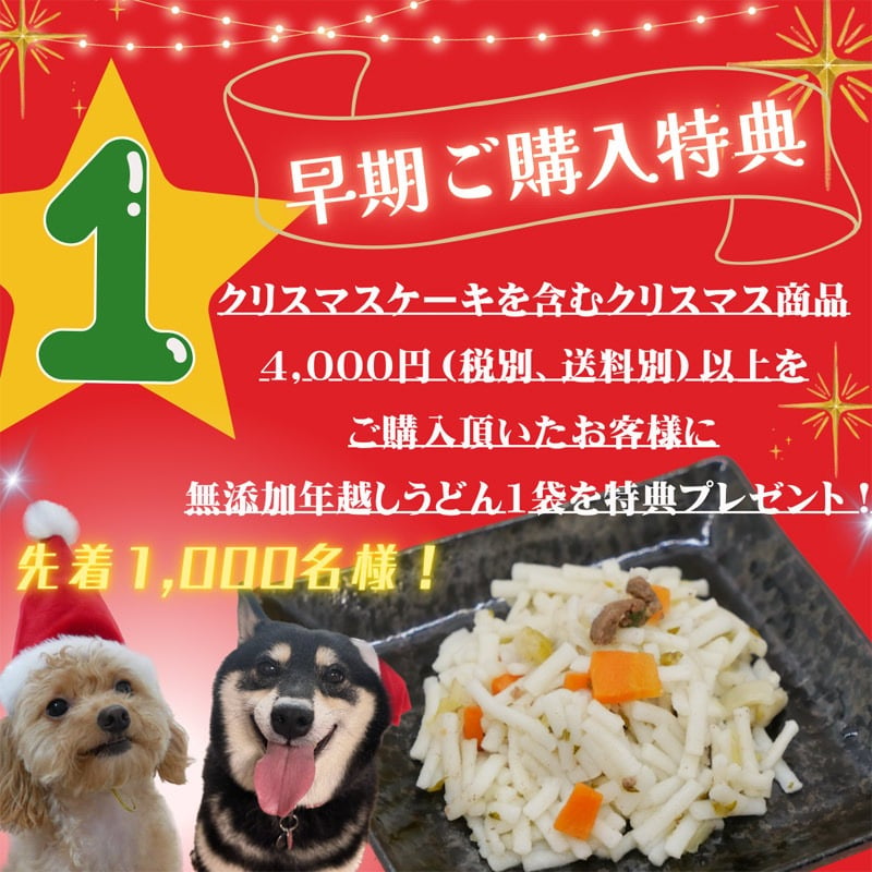 「 ハッピー クリスマス ロールケーキ 」 ワンちゃんもネコちゃんも飼い主さんも食べられる 美味しく贅沢なグルテンフリーケーキ ペットも飼い主様も大好きなケーキ♪ 家族みんなで美味しい贅沢をお楽しみください。はなとしっぽ初の人用ケーキコラボ商品！