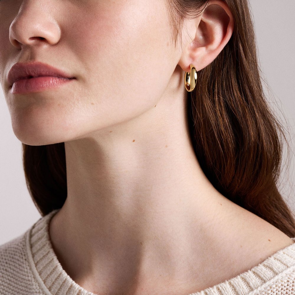 フォッシル FOSSIL Ellis アクセサリー ピアス レディース JF05002710【2026 新作】