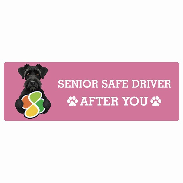 カーサイン 高齢者マーク SENIOR SAFE DRIVER ジャイアントシュナウザー ステッカー シール 長方形 20x6.7cm 肉球 日本製 車