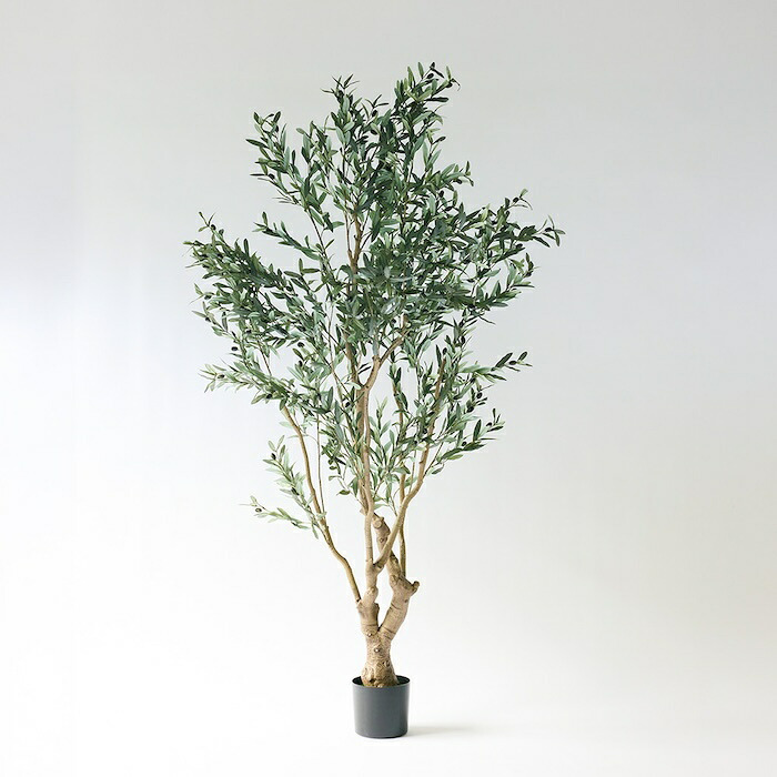 観葉植物 造花 オリーブ BROWN 全高約225cm 大型 実付き フェイクグリーン 高級 本物そっくり リアル おしゃれ インテリア 人工観葉植物 アーティフィシャルグリーン オフィス 店舗 ホテル カフェ 開店祝い 室内 リビング 玄関 風水 庭木 オリーブの木