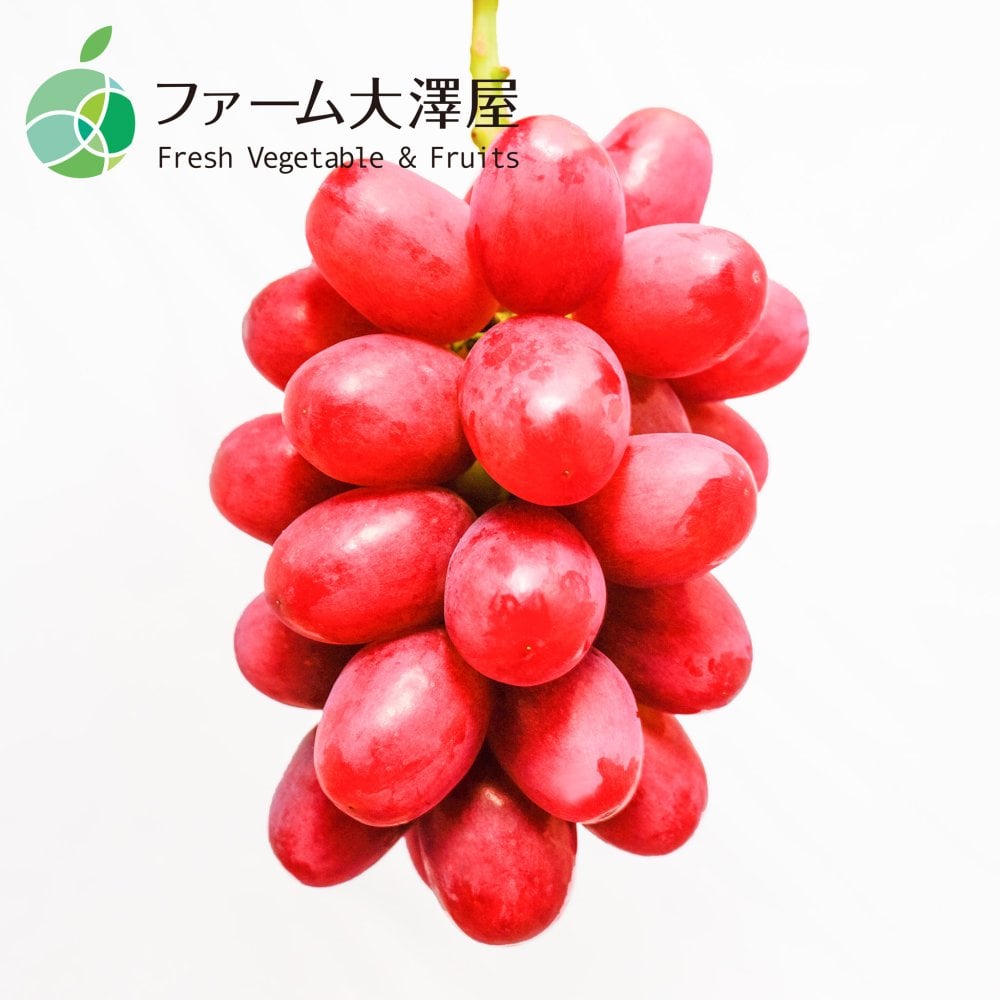 長野県産 シャインマスカット クイーンルージュ 各1房 【2房】 ｜ 1房約450-500g ｜ ぶどう 国産フルーツ 贈答用 ギフト プレゼント