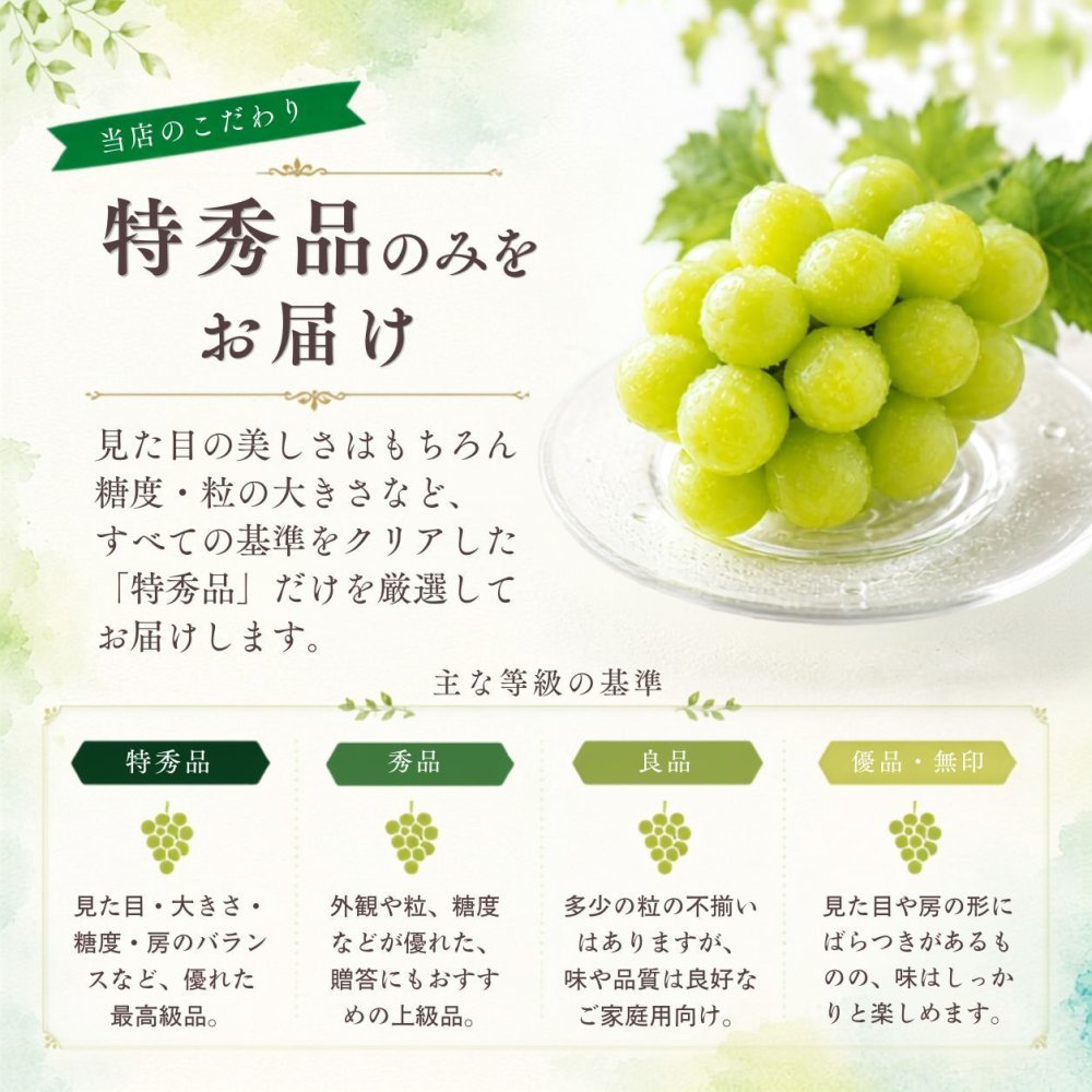 【産地直送】山梨県産 シャインマスカット 特秀品 約1kg｜秋ギフト・誕生日・内祝い・贈答用