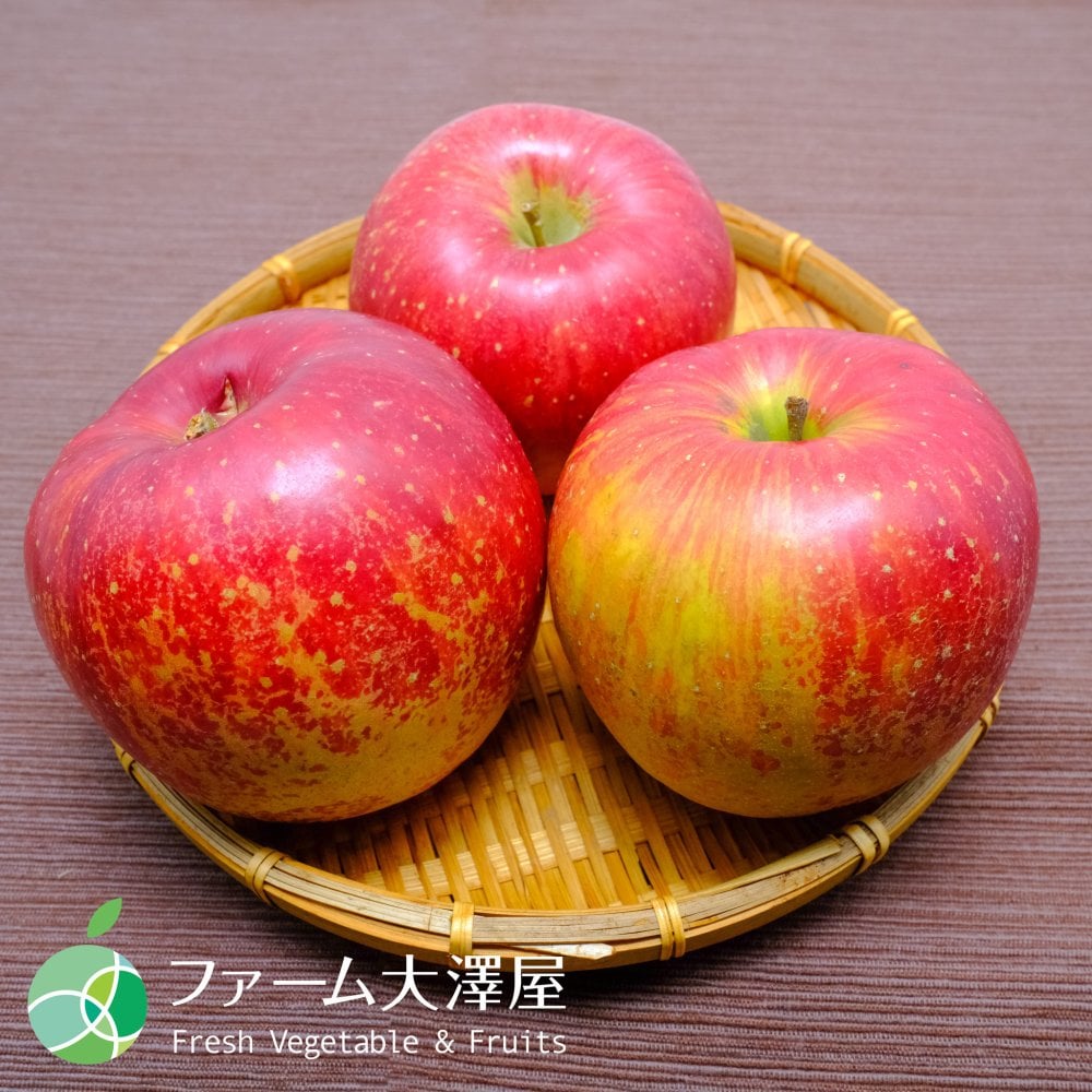 養田さんのはねだしりんご　シナノスイート　サビ・キズあり　家庭用　約2kg　5～8玉　長野県志賀高原産