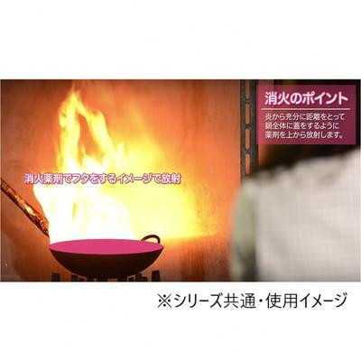 ハローキティ 住宅用 消火器 強化液タイプ HK1-RD 初田製作所 サンリオ おしゃれ 小型 軽量 天ぷら油火災 冷却 浸透性 室内 インテリア 防災グッズ キッチン 安全対策 サンリオ正規ライセンス品