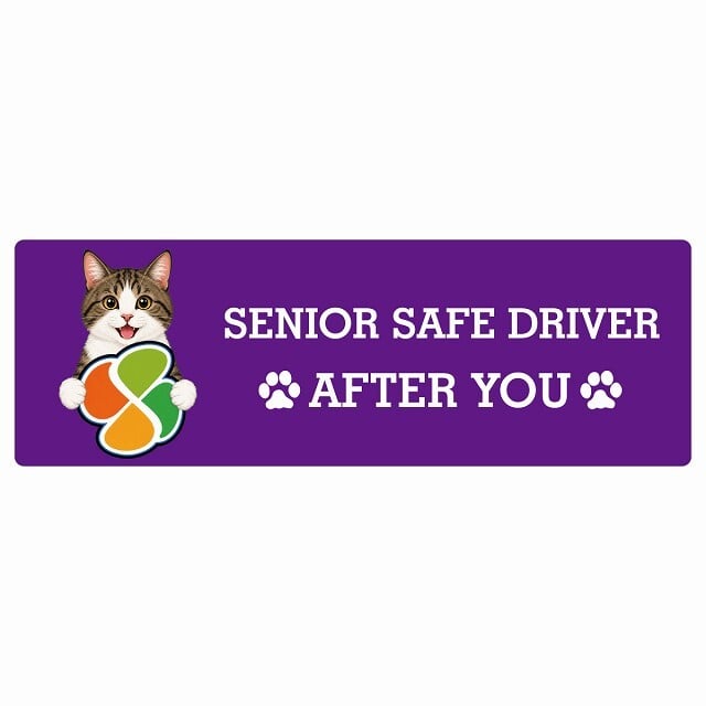 カーサイン 高齢者マーク SENIOR SAFE DRIVER キジ白 ステッカー シール 長方形 15x5cm 肉球 日本製 車