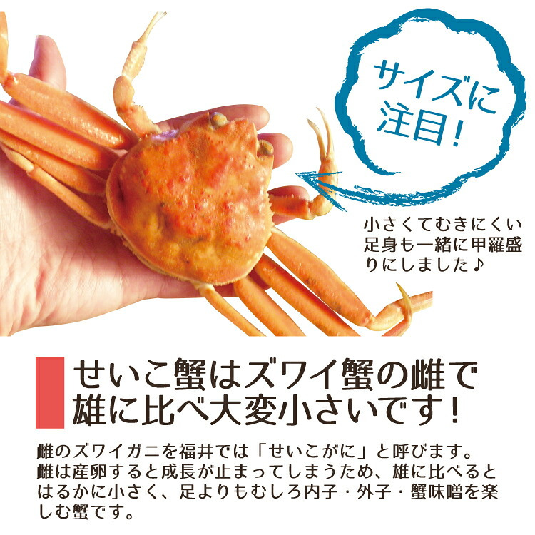 せいこ蟹 甲羅盛り 【数量限定】 越前がに 海鮮 詰め合わせ 福井県産 【冷凍便】美味しい贈物 お歳暮 ギフト