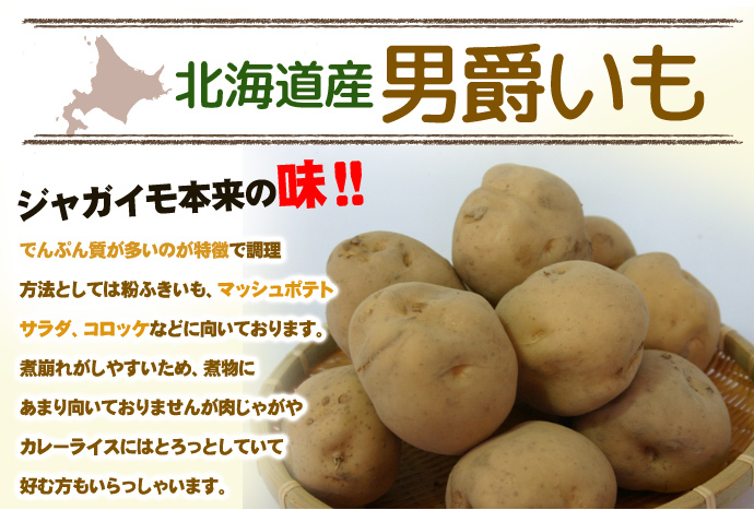 じゃがいも 訳あり北海道 じゃがいも 男爵いも S-Mサイズ 9.5-10kg前後 送料無料 ※沖縄は送料別途加算