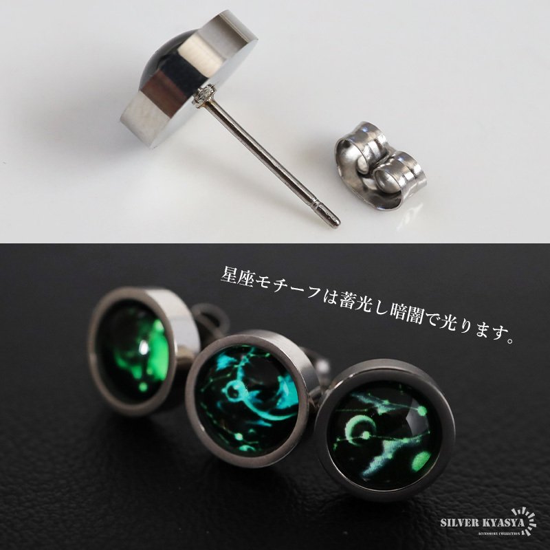 ステンレス 12星座ピアス 暗くなると光る 蓄光 ワンポイントピアス スタッドピアス 可愛い 誕生月 シルバー 片耳1点 ゾディアック 星 スター 宇宙 天体 綺麗 キラキラ メンズ レディース 金属アレルギー対応 イヤリング 男性 女性