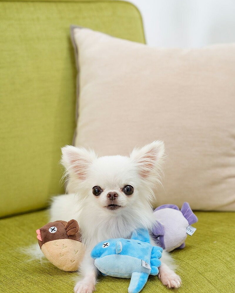 DADWAYPET ダッドウェイペット FAD＋ ファッドプラス プラッシュトイ ハリセンボン 犬用おもちゃ