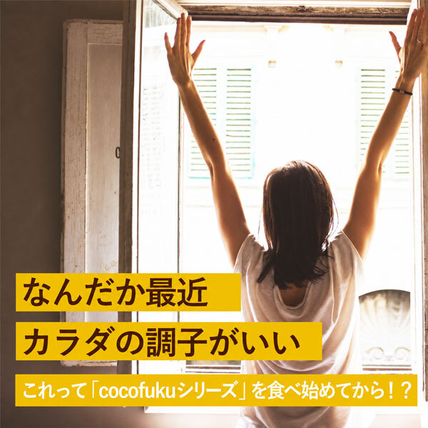 大豆パウダー 130g×1袋 国産 無添加 [cocofukuシリーズ] エクオール 食べる 大豆 イソフラボン ソイパウダー タンパク質 プロテイン 必須アミノ酸 糖質制限 低糖質 糖質オフ ダイエット 腸活 健康 美容 焙煎 大豆 粉末 遺伝子組み換えでない 健康食品(omb10117)