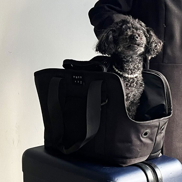 ペット キャリーバッグ 通販 PUFF 犬用キャリーケース 猫用キャリーバッグ トートキャリー ボストンキャリー ショルダーキャリー 小型犬用キャリー 超小型犬キャリー お出かけ ペットキャリーバック dog bag おしゃれ シンプル 中型犬 ペットバッグ