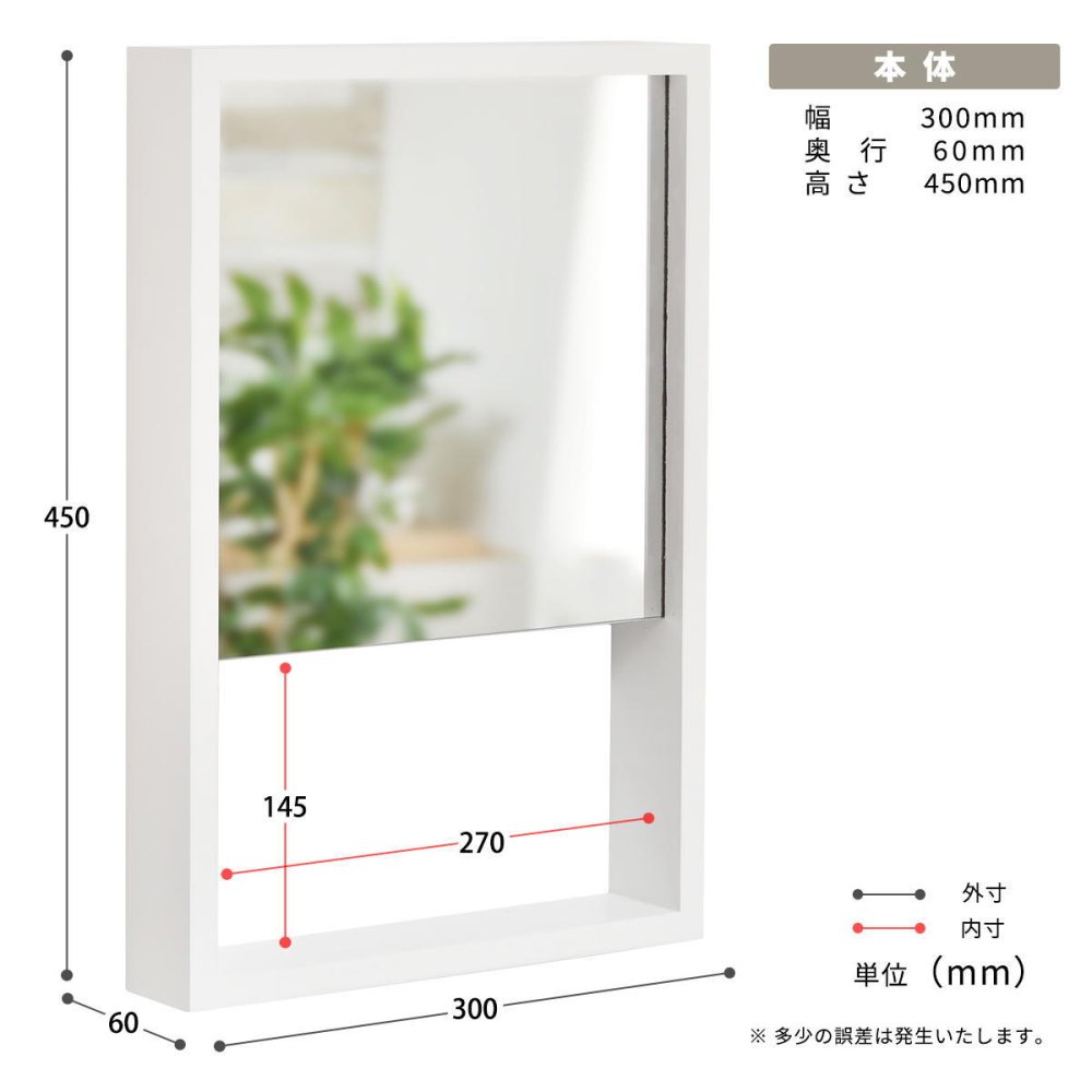 BF DECO Wall Mirror BFMI0251 壁掛け 収納付き ミラー ウオールミラー 鏡 姿見