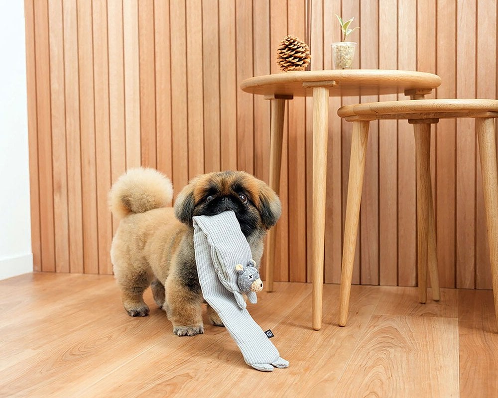 DADWAYPET ダッドウェイペット FAD ファッド ノーティードッグ・トイ マフラー ベア 犬用おもちゃ