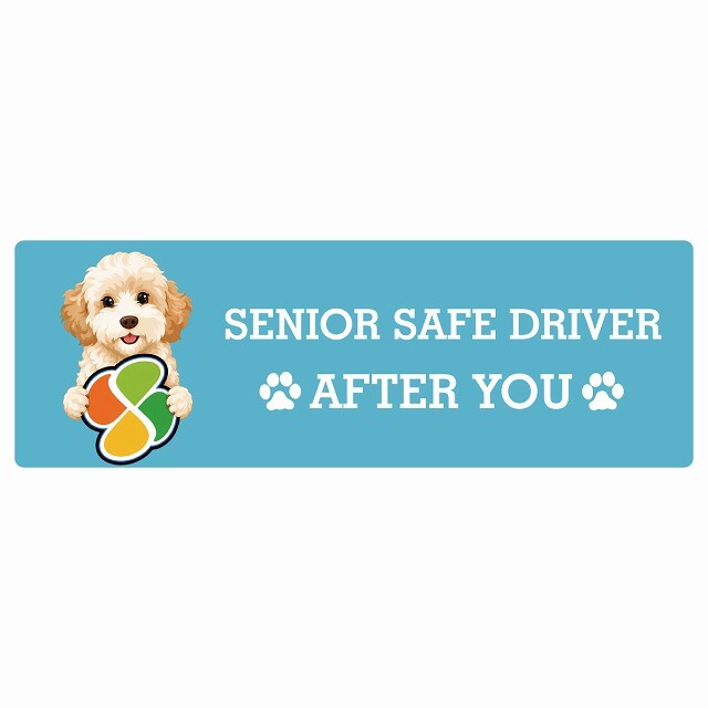 カーサイン 高齢者マーク SENIOR SAFE DRIVER ゴールデンドゥードル ステッカー シール 長方形 15x5cm 肉球 日本製 車