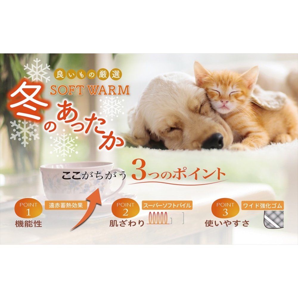 ソフトウォーム あったか遠赤 極ふわ 合わせ綿入毛布 ギフト 毛布 寝具 防寒グッズ あったか寝具【北海道・沖縄県・離島 配送不可】