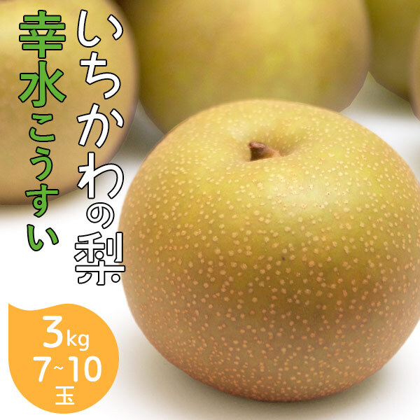 予約販売 いちかわの梨 幸水 3kg 7～10玉 千葉県市川産 梨 なし 和梨 果物 フルーツ ギフト お中元 暑中見舞い 残暑見舞い 贈答用 お供え 夏ギフト 旬の味覚 送料無料