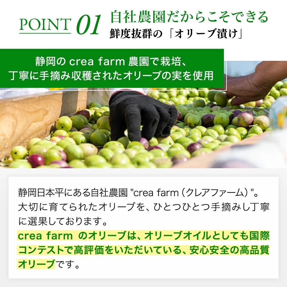 静岡産オリーブセット